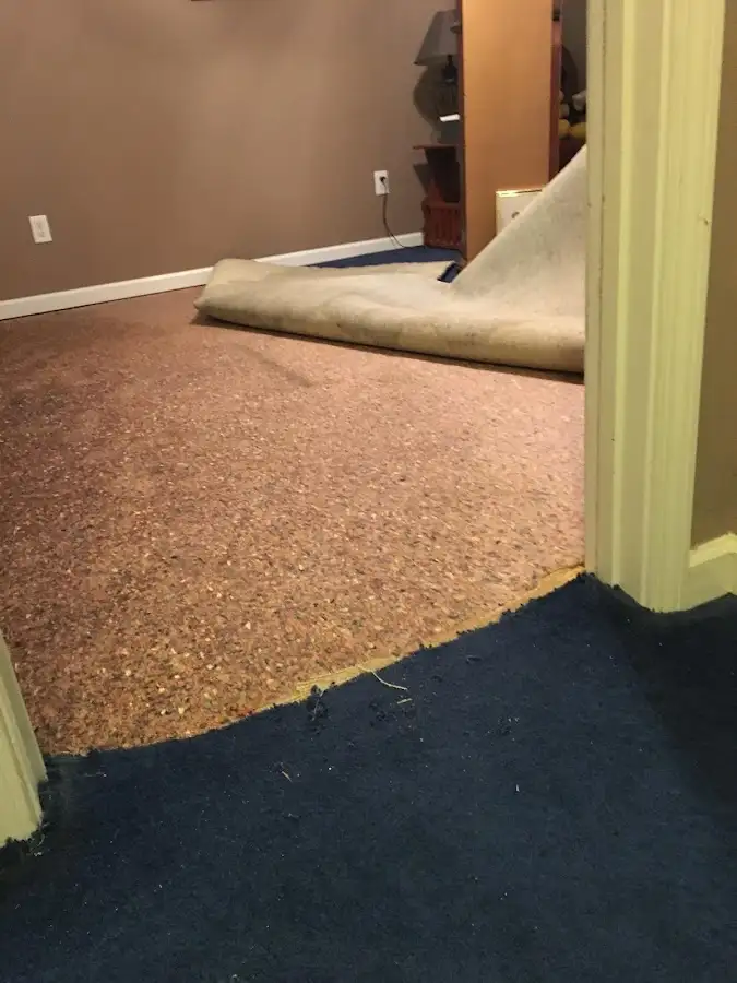 Carpet pad removal revealing water damage during Water Mitigation Services in Tisbury